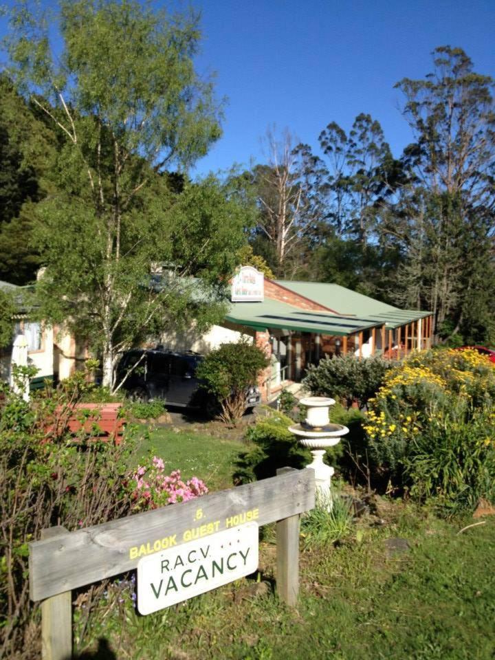 Tarra Bulga Guesthouse Balook Dış mekan fotoğraf