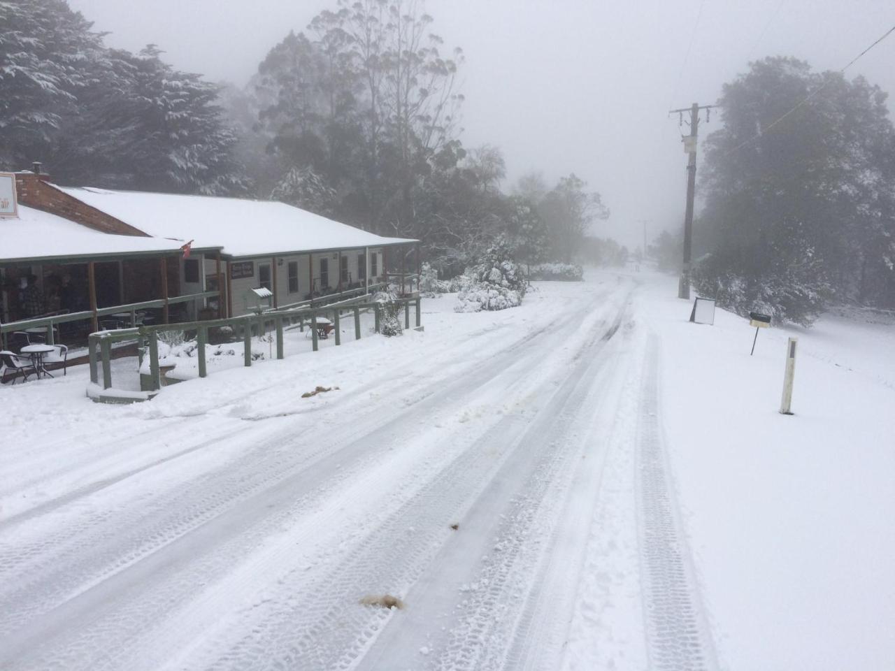 Tarra Bulga Guesthouse Balook Dış mekan fotoğraf